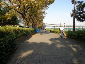 箱崎河岸緑道②