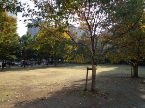 箱崎公園⑤
