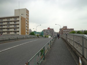 丸八橋（2）