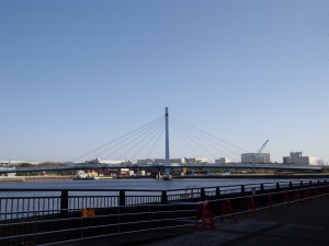 辰巳桜橋（全影）