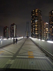 辰巳桜橋（夜）