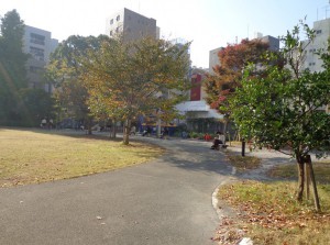 箱崎公園②