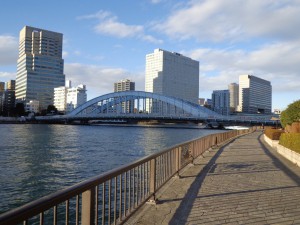 隅田川テラスからの景色　永代橋