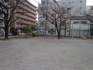 菊川公園②