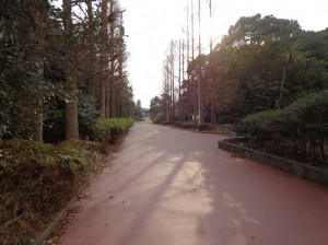辰巳の森緑道公園③