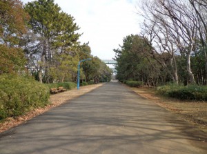 辰巳の森緑道公園④