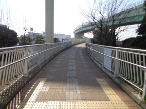 辰巳の森歩道橋②