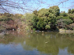 隅田公園④