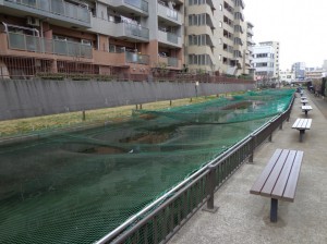 大横川親水公園魚つり場