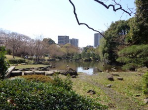 隅田公園⑥