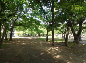仙台堀川公園④