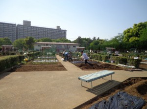 城東公園　菜園